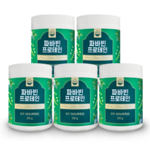 웰리즈 자이언트 파바빈 프로테인 210g 식물성 단백질 파바빈콩 분말 100%, 6개 210g, 6개