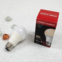 금호LED전구10W B1030 (전구색), 1