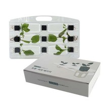 자람홈미니 식물재배기 수경재배기 모종세트 개별구매(씨앗 3ea 포함 9ea/1set), 3. 키친팜 세트