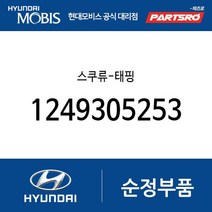 스쿠류-태핑 (1249305253) E에어로타운 E카운티 글로벌900 에어로 시티 에어로 스페이스 에어로 퀸