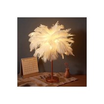 깃털 스탠드 무드등 플로어 거실 조명기구 인테리어, 화이트 라지 (USB와 배터리 리모