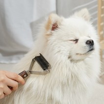 냥글댕글 몽몽 듀얼 브러쉬 반려동물 털 관리 제거, 몽몽듀얼브러쉬+참숯패드10매증정
