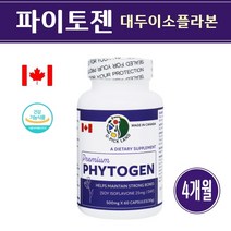 식약처인증 대두 추출물 이소플라본 여성 갱년기 영양제 식물성 에스트로겐 호르몬 효능 40대 50대 60대 중년 여자 우먼 레이디 추천 파이토젠, 500mg*60캡슐(2개월분) x 2개, 대두이소플라본