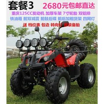 ATV 4륜오토바이 액티비티용 산악 오토바이 농업용 운반기 농업용사발이, 패키지 3(리틀 불)