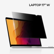 포인트앤뷰 노트북 보안필름 STPF17WA-17