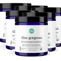 오라 Aloe Gorgeous 비건 콜라겐 부스팅 파우더 식물성 프로틴 비타민C 알로에베라 초콜릿맛 246g ORA, 6개