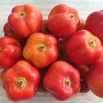영주 못난이 별사과 1kg (중소과/대과) 별모양 닮은 작지만 달고 아삭한 미니사과, 못난이 별사과 (대과) 1kg (8-12과내외)