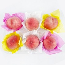 물빠짐 없는 과일 포장지 화지 습자지 색화지 복숭아 한라봉 사과 포도 포장재 과일바구니 식품 호두과자 포장지, 01.기본형 핑크(4000매)