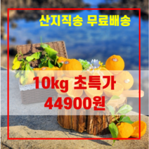 제주 서귀포 일품 한라봉 3kg 5kg 10kg 선물용 가정용 명절 선물, 초특가 10kg 가정용 중소과(48과내외)