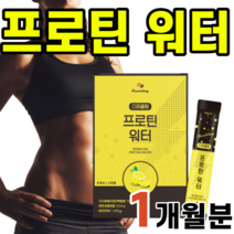 물에 타먹는 프로틴 워터 유산균 단백질 스파클링 가수분해유청단백분말 WPH 비타민B2 프락토올리고당 간편한 스틱타입 프로바이오틱스 프로바이오스틱 레몬맛 직장인 20대 30대 음료, 1박스