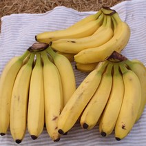 델몬트 바나나 1박스 3다발, 4kg 내외, 1개