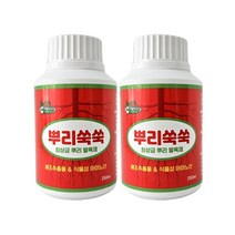 농사친구 뿌리쑥쑥 뿌리 발근제 250ML 딸기 삽목, 2병