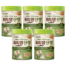파스퇴르 위드맘 산양분유 2단계 750g x 5캔, NEW산양분유2단계(5캔)