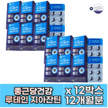 종근당 눈사랑 루테인 뉴테인 아이클리어 눈영양제추천 국민브랜드종근당건강 6개월분-12개월분 약국 코스트코 인기영양제 루테인지아잔틴추천 파는곳 대용량 고함량영양제 알약케이스, 12개월분(패밀리팩-할인가)
