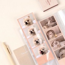 인생네컷바인더 인생네컷앨범 사진첩 무지스크랩북 콜북, 화이트