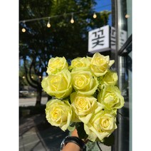 [생화] 국산 어피니티 싱싱한 생화 한단 꽃정기구독