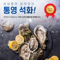 통영 굴 석화 10Kg