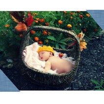 홀리졸리 미국 코튼 아기 신생아 헤어밴드 U58