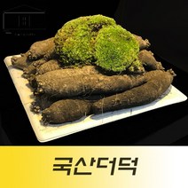 국산흙더덕1kg 국산피더덕 제주더덕 제주도더덕, 중(1kg)