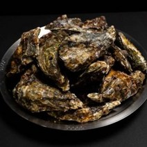 산지직송 통영 프리미엄 삼배체굴 개체굴 바위굴 대왕굴 석화 1kg, 1개