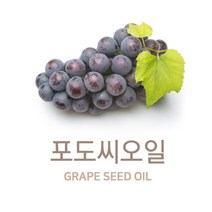포도씨오일 (Grape seed Oil)500ml