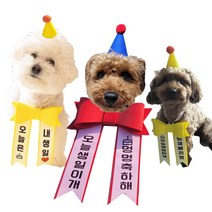 강아지화환모자세트 반려동물생파 고양이돌 미니리본 화환리본문구 애견돌잔치, 1. 노랑 (리본) S