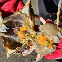 밥도둑 알배기 암꽃게 간장게장 2.5kg (국내산 출고일제조), 1개