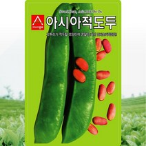 적도두콩 씨앗 작두콩 씨 종자 5립, 단품