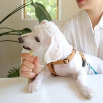 3개월강아지개껌 강아지양치 대형견개껌 뉴트리오 7종 껌, 1개, 딸기