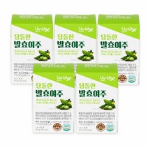 엘브리지 당돌한 발효여주 특허유산균으로 발효한 고농축 국내산 여주 분말 가루, 5박스, 2g × 30포