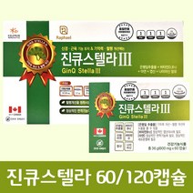 캐나다 진큐센텔라 2 혈액순환 혈행 기억력 개선제 영양제, 60개입