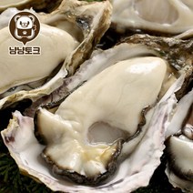 [냠냠토크] 통영 리얼 삼배체굴 바위굴 4kg 8-12미 내외, 단품