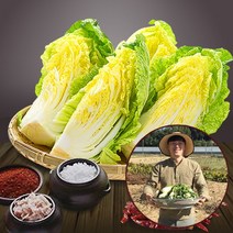 [참다올] [예약배송] [전라도광주김치] 절임배추20kg (7-8포기), 발송일 선택:11월30일 발송_12월01일(수)도착예정
