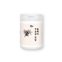 보스웰리아 100% 인도산 추출물 물에 타먹는 분말 120g, 120g x 2개