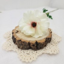 버터플라이러넌큐러스(3송이), 라이트핑크크림