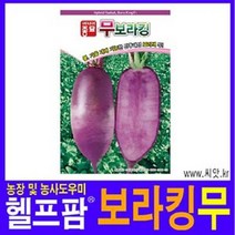 헬프팜 보라킹무 100립 아시아종묘 종자 씨앗 무씨
