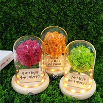 메세지 각인 스칸디아모스 무드등 만들기 개업 집들이, 올리브_폰트2