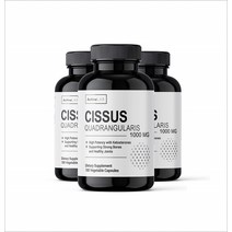 ActiveLAB 시서스 1000mg 씨서스 Cissus 100캡슐, 1개, 시서스 1000mg 씨서스 100캡슐