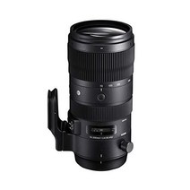 시그마 70-200mm F2.8 DGOS HSM | Sports S018 니콘 F 마운트 Full-Size / Large-Format, 단품_니콘 F용