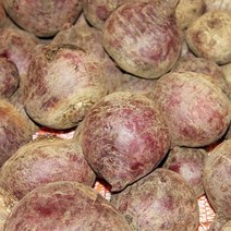 국산 제주 레드비트 햇 비트 최상품 2kg 3kg 5kg 10kg, 레드비트 2kg, 1개