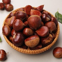 동충주농협 알이크고 튼실한 소태밤 4kg 소/중/대, 3.충주밤4kg(대), 1개