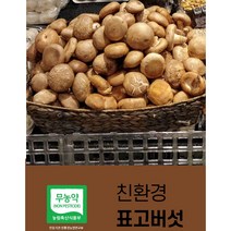 생표고버섯 동고 중품 (가정용) 추천, 1개, 1kg