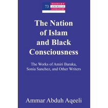 The Nation of Islam and Black Consciousness; The Works of Amiri Baraka Sonia Sanchez and Other Wri... Hardcover, Peter Lang Us, English, 9781433165306