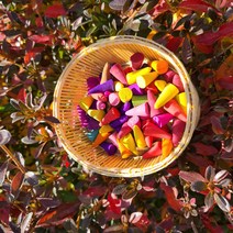 [제이아로마향] 태국 천연 아로마 향초 인센스 콘향 25종 20개입, 샌달우드