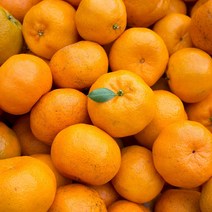 제주 비가림 수로미 왕귤 못난이 고당도 하우스 감귤 귤 5kg 10kg, 비가림 하우스 수로미감귤(12brix 이상) 4.5kg