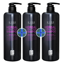 댕기머리 프로페셔널 허벌 헤어 케어 샴푸 3개, 1000ml