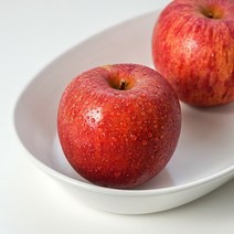 당도선별 고당도 꿀사과 문경 사과, 5kg (24~26과)_12브릭스 이상