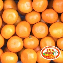 <루시.앤> 제주 귤림원 감귤 1.5kg/3kg/4.5kg / 임금님께 진상하던 그 귤밭이 귤림원이랍니다~, 3kg/2S-M/35-50입/60-107g내외” class=”wr-img”></a></div></p></div></p></div></p></div><div class=