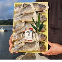 법성포 직송 영광 보리 굴비 특대 가정용 선물세트 찐보리굴비 5미 10미, 11.보리굴비 선물용_대(10미)