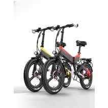 안전한 장거리 휴대용 접이식 전기 자전거 스쿠터 배달, 03.C(48V), model